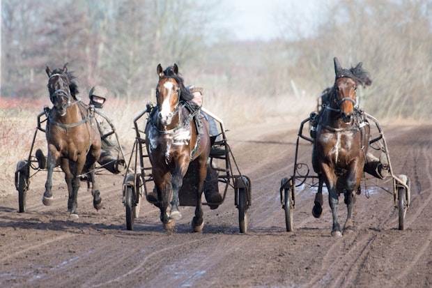 Februari-4033