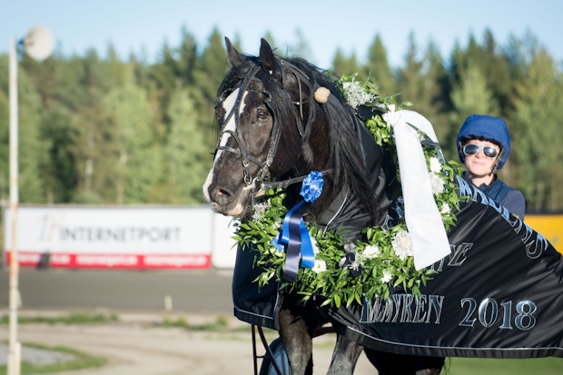 Hovding Jaros Orjan Kihlstrom 2 5