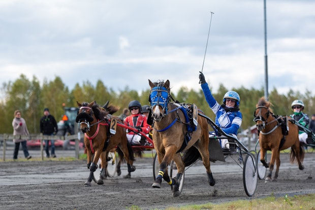 KATTEDALS PETTER Frick Amanda 9460