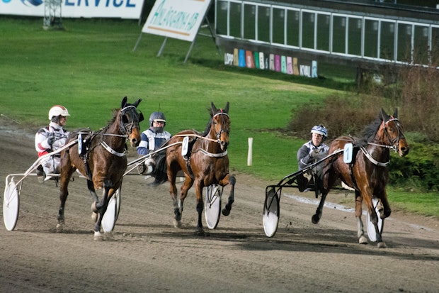 Kalmartravet Stall Fredrik Persson 1968