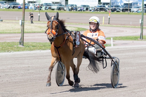 Linnson Matilda Persson 3755