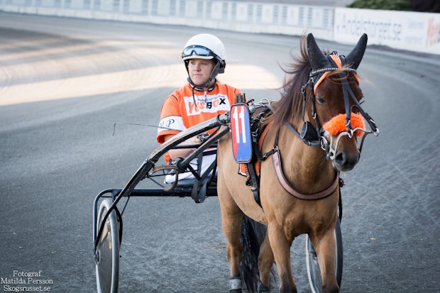 Linnson Matilda Persson 4079