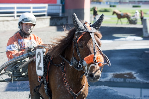 Linnson Solvalla 1343