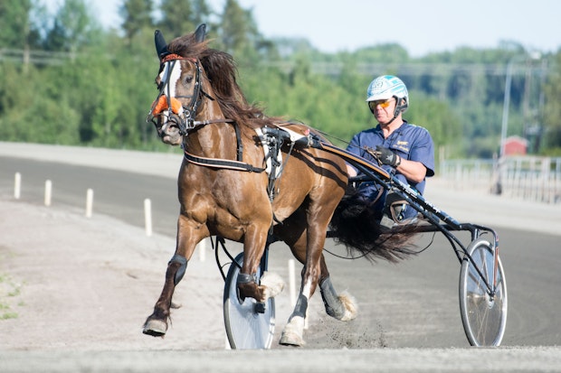 Molleslettens Linna 4215