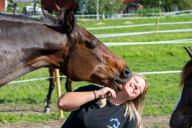 Molleslettens Linna Greve E 7644