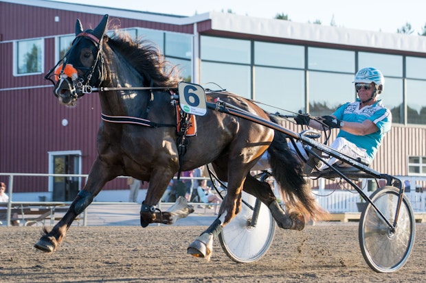 Molleslettens Linna Ove Berglin 1528