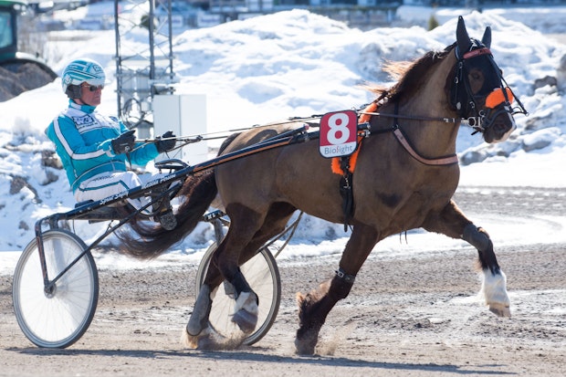 Molleslettens-Linna-Ove-Berglin-4010