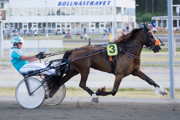 Molleslettens Linna Ove Berglin 5795