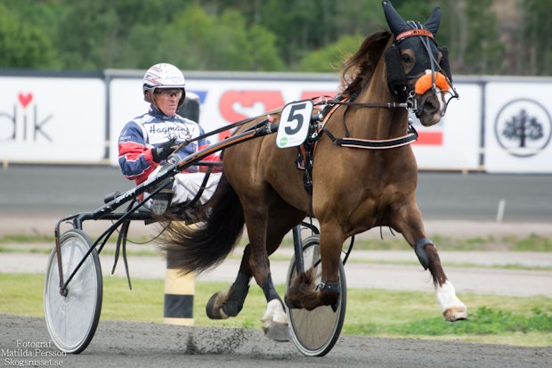 Molleslettens Linna Ulf Eriksson 3273