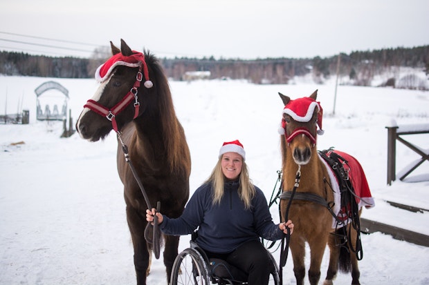 Molleslettens Linna Linnson Julkort 2305