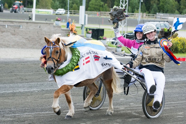 Ostersundblogg 3071