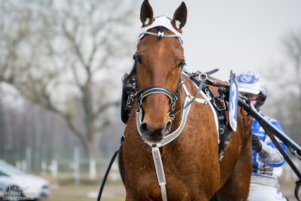 RISE-AGAIN-Kajsa-Ljunghager-4121