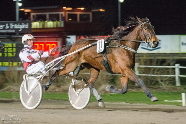 ULTRA BRIGHT Fredrik Persson 5650