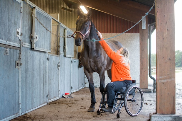 Xlnt Chili Tripel 2361