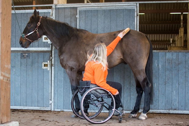 Xlnt Chili Tripel 2366