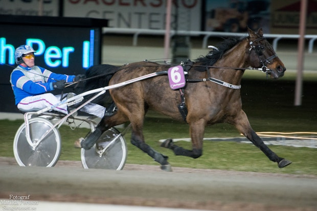 Xlnt Chili Tripel 5542