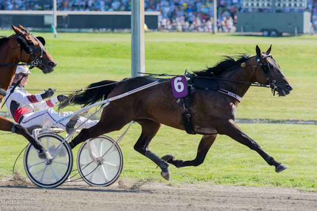 Xlnt Chili Tripel Fredrik Persson 6934