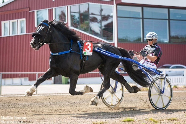 Eld rask ulf ohlsson 9993 5efc6c5d9606ee3238484287