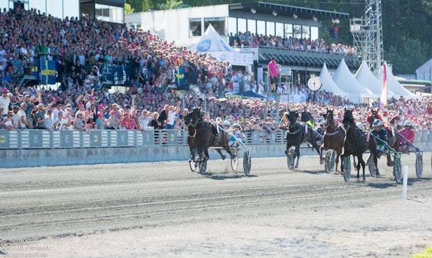 Elitloppetskogsrusset 0778
