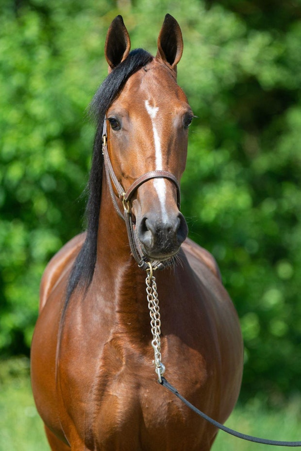 Juni travskolan 0755 5efc68b82a6b2212fe16ee69