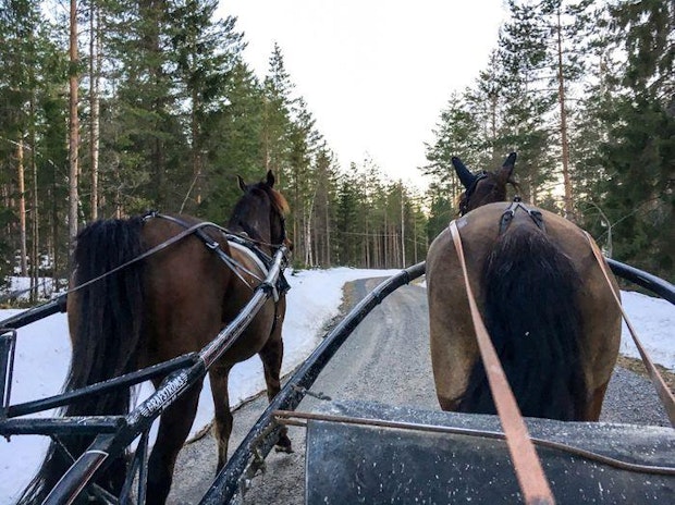 Mobiluppladdning 5Ae0E4782A6B22604E756A0F