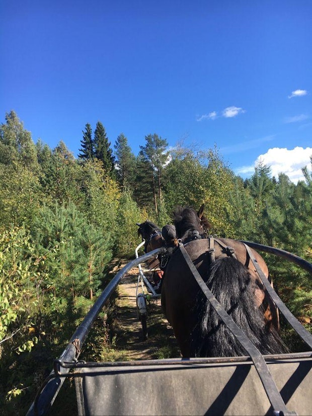 Mobiluppladdning 5B9Cb396E087C32Fca33Dc74