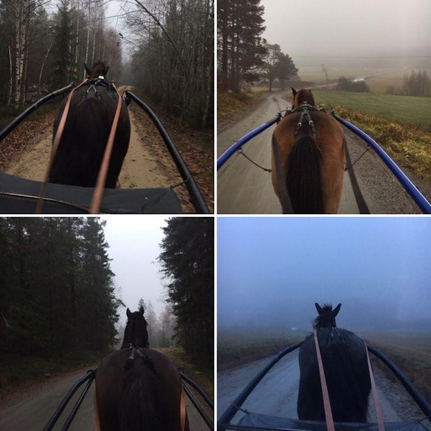 Mobiluppladdning 5Be9Db5Ae087C34Ff4E22530