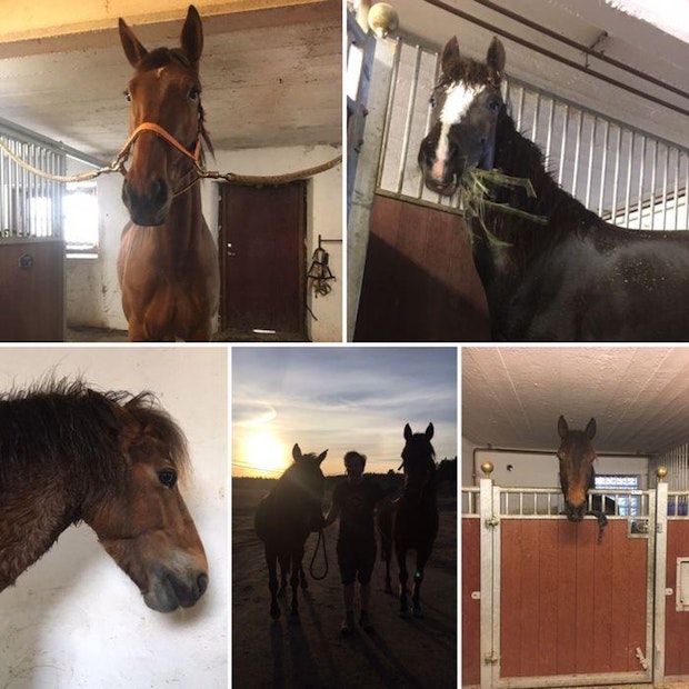 Mobiluppladdning 5cb9782addf2b35988ce95ab