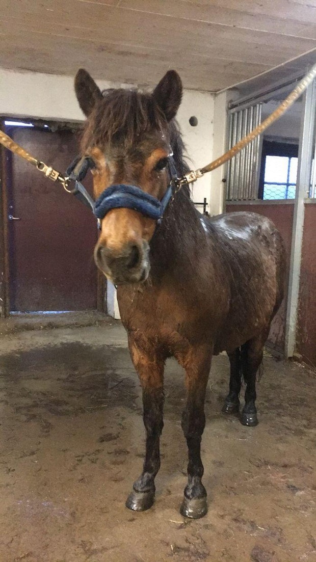 Mobiluppladdning 5cc04d31e087c36e2f5c44cb