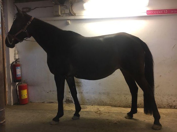 Mobiluppladdning 5cc04d35e087c36e2947c7bb