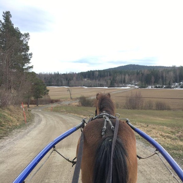 Mobiluppladdning 5cc04d3d2a6b2252b219edc9