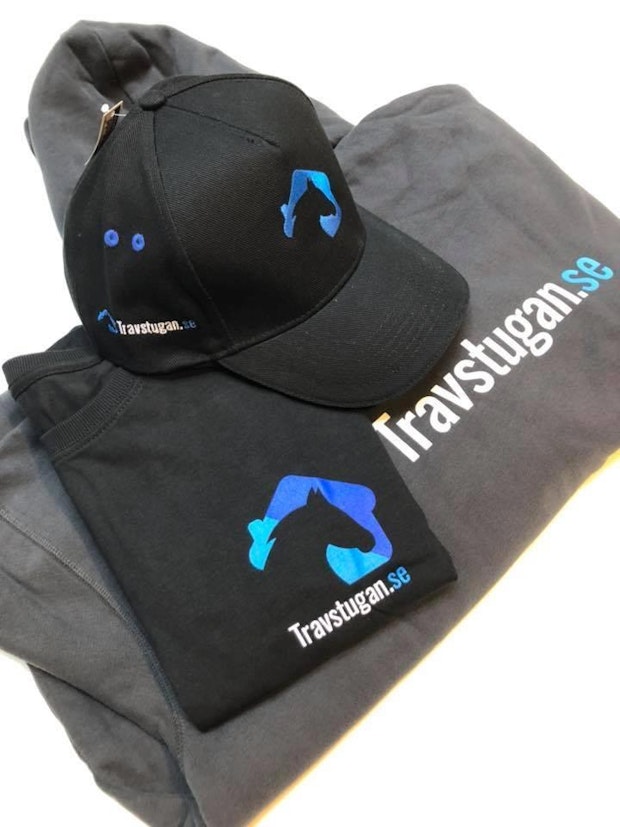 Travstugan