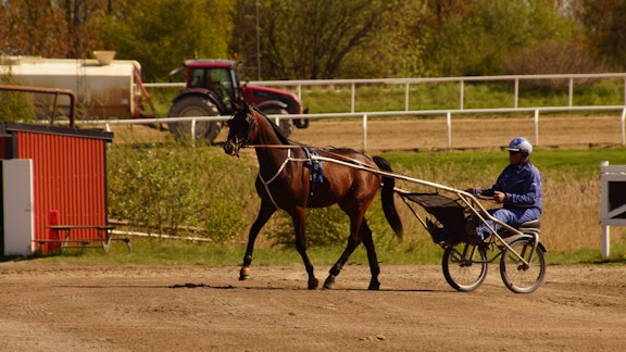 31957996 1723036494408787 8081247251101384704 N