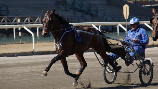 31960261 1723036751075428 4154765085123805184 N