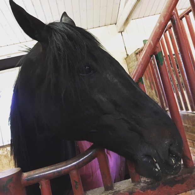 18403021 10155357801074048 5649286575863073923 N