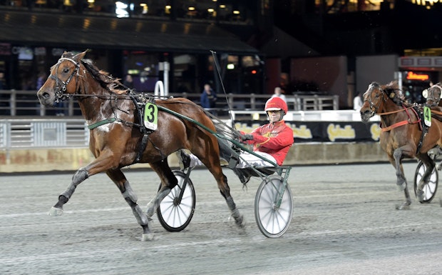 6 Bula Bula Am Mal Lj Jpg 642598