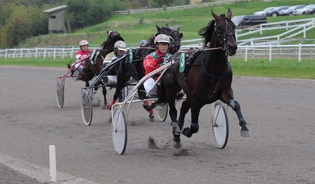 Alpha Peak131017 1000