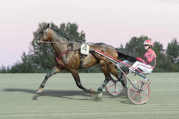 Day Or Night In 1200X800