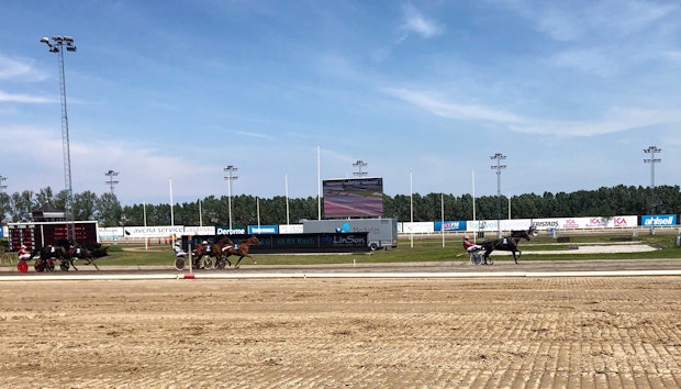 F0853 B2 F 6086 49 A6 9 DCE 19 A7853852 F1