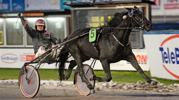 Minnestads Ecuador Mal