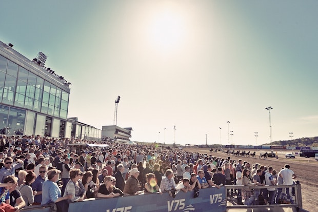 Olympiatravet 2014 Mycket Folk Och Solsken