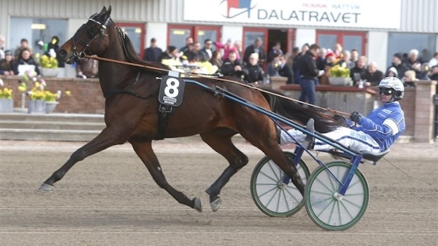 Scellino Luis