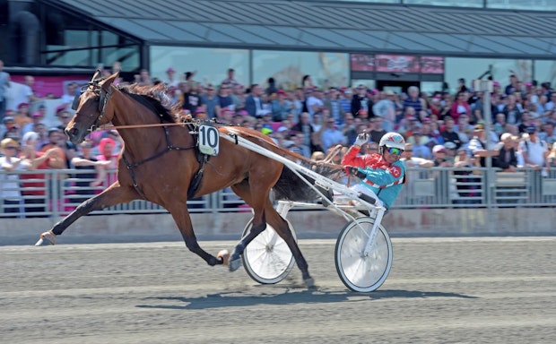 Shadow Gar Sweden Cup Final Lars Jakobsson