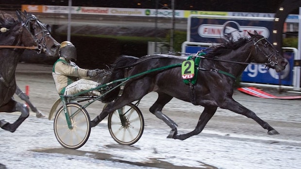 Tripolini Vp 74 J0875