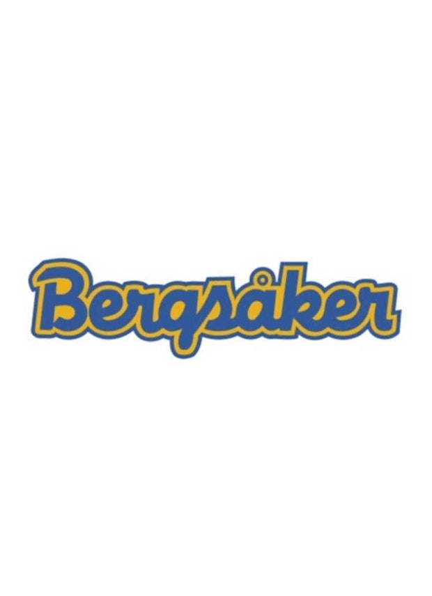 Bergsaker