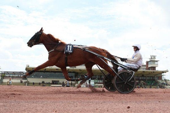 D8229C051B41Cd65D98Bef175010Be78