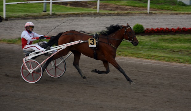 Olympiagold