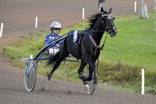 Thought Hanover