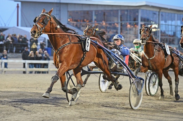 V75 1 Jairo Mal Jpg 672512