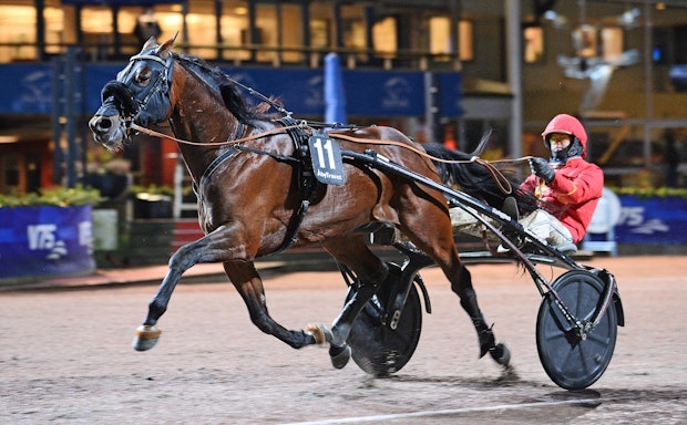 V86 1 Rushmore Face Mal Jpg 671575